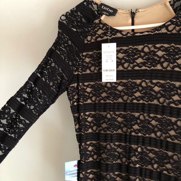 Bebe Pencil Stripe Lace Dress in Black & Nude Lace - Picture 6 of 6